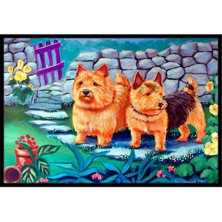 Carolines Treasures Carolines Treasures 7520JMAT 24 x 36 in. Norwich Terrier Indoor Or Outdoor Doormat 7520JMAT